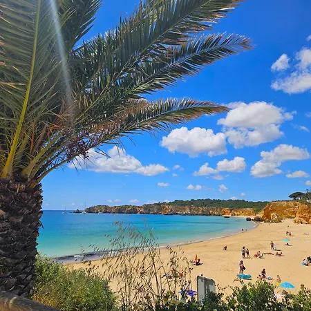 Апартаменты Seaview
